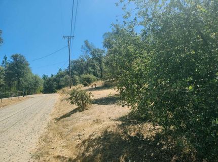 48 Rices Texas Hill Rd, Oregon House, CA 95962 Photo