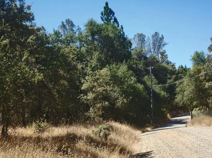 48 Rices Texas Hill Rd, Oregon House, CA 95962 Photo