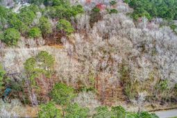 Lot 175 Tuskegee Drive photo 4