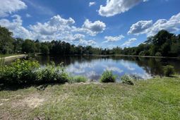 3318 Hollydale Drive photo 4