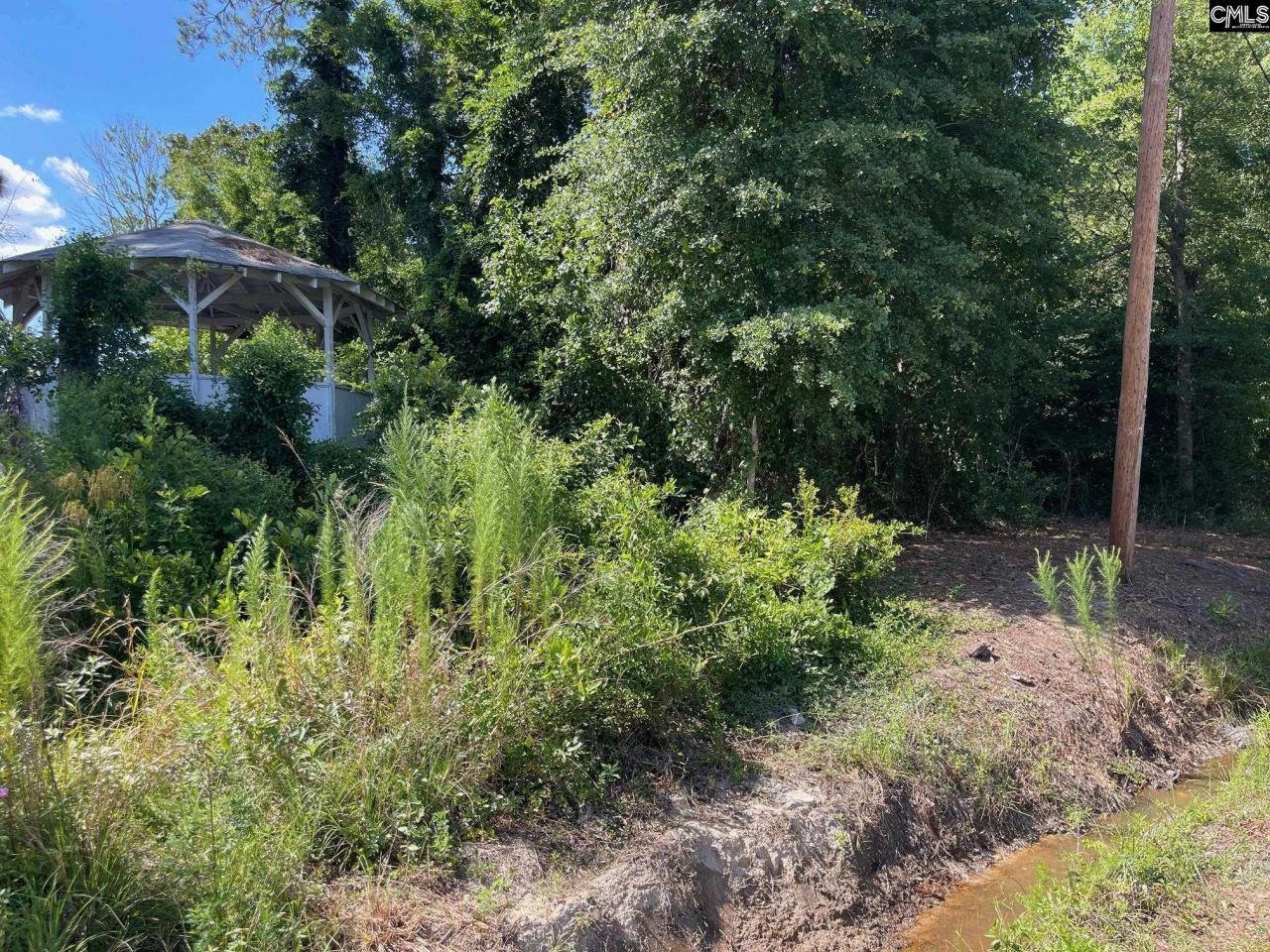 3318 Hollydale Drive Photo 4