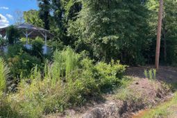 3318 Hollydale Drive photo 4