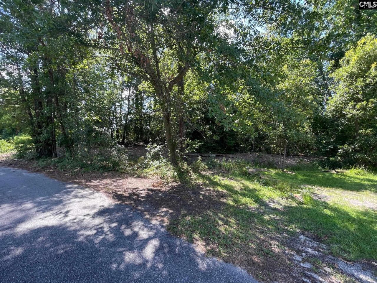 3318 Hollydale Drive Photo 5