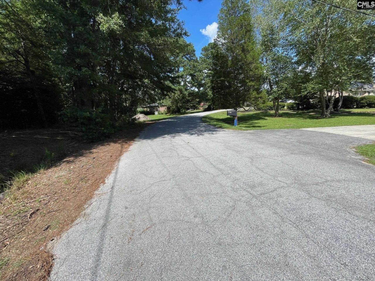 3318 Hollydale Drive Photo 7