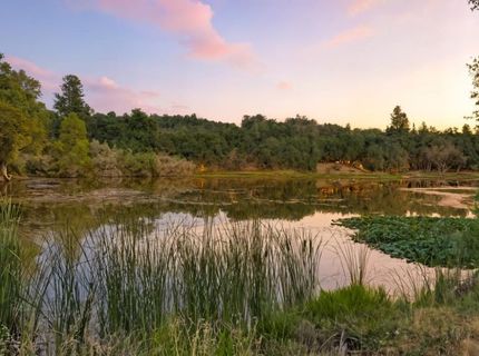 2660 Sleepy Hollow Dr, Shingle Springs, CA 95682 Photo