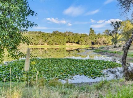 2660 Sleepy Hollow Dr, Shingle Springs, CA 95682 Photo