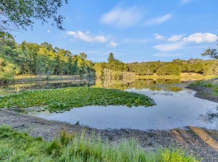 2660 Sleepy Hollow Dr, Shingle Springs, CA 95682 Photo