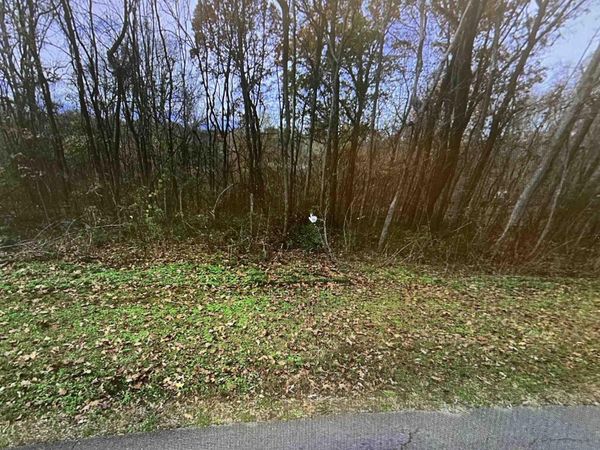 1.0 Mountain View Drive, Russellville, AL 35653