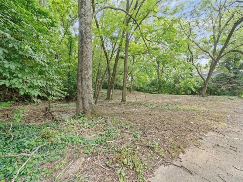 127 Valencia Street, Cincinnati, OH 45219 Photo 3