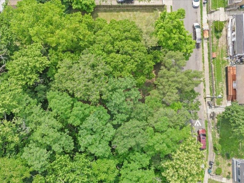 127 Valencia Street, Cincinnati, OH 45219 Photo 6