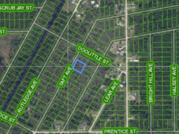 1453 TAFT AVENUE, LAKE PLACID, FL 33852