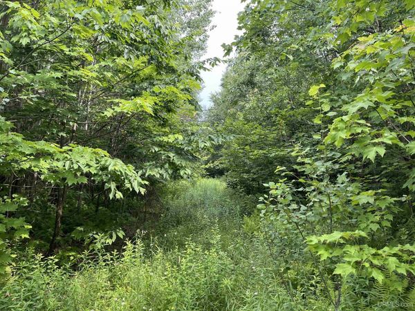 80 Acres Atherton Road, Limestone Twp, MI 49891
