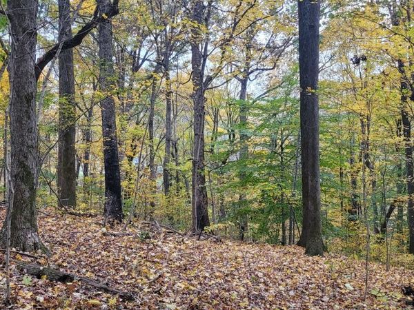 1 Sugar Ridge Rd, Spring Hill, TN 37174