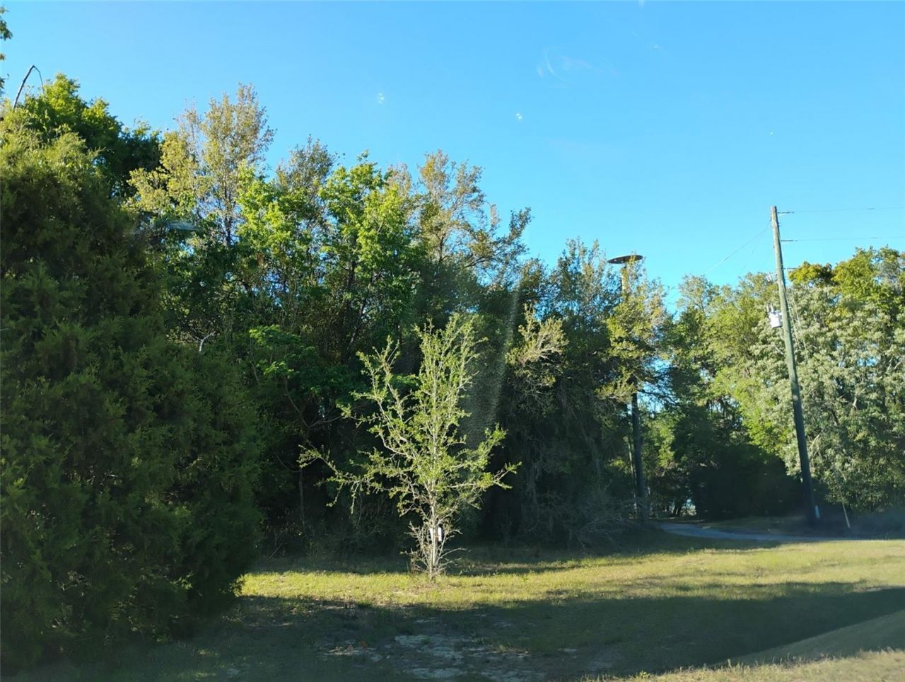 S Lake Hiawatha Drive, Lady Lake, FL 32159 Photo