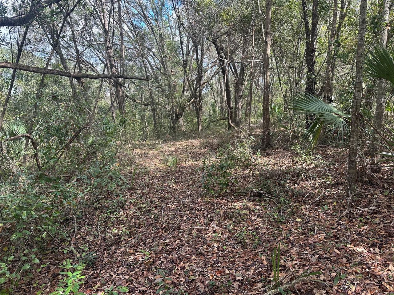 S Lake Hiawatha Drive, Lady Lake, FL 32159 Photo