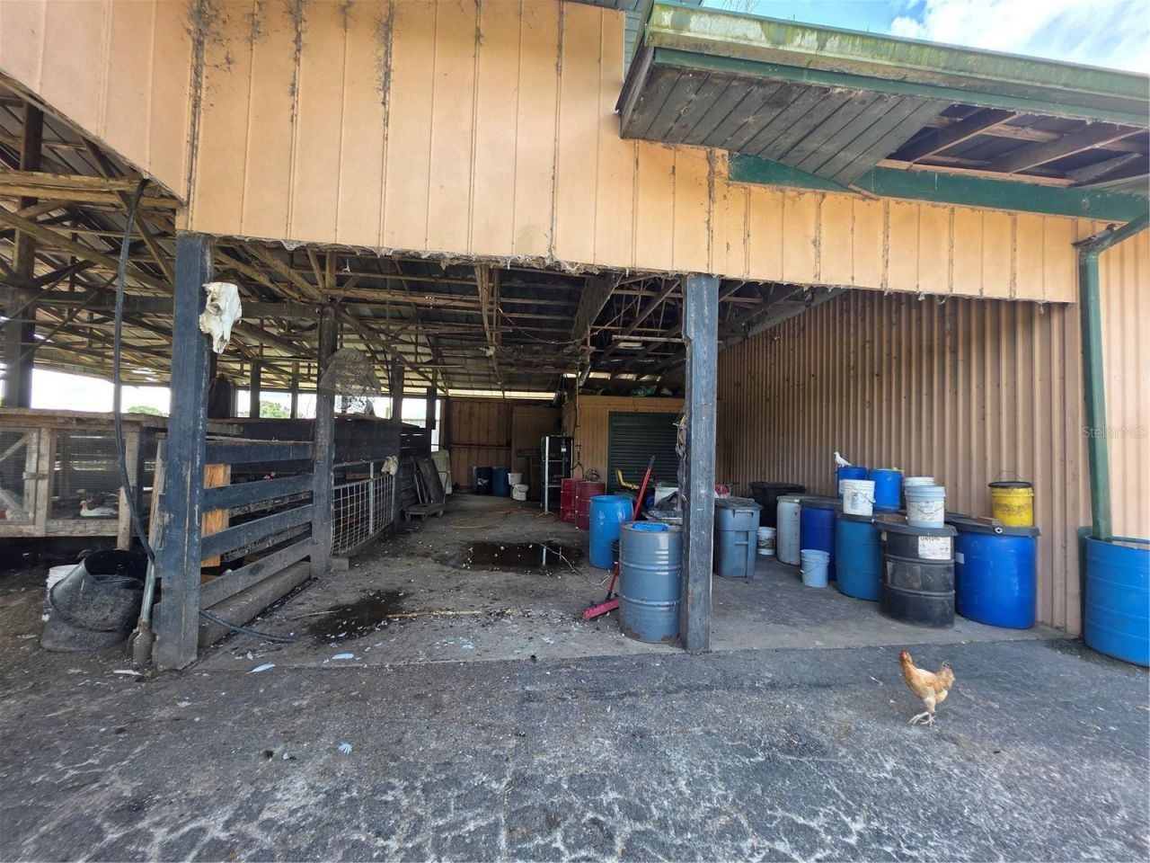 43451 & 43631 Farabee Road, Punta Gorda, FL 33982 Photo