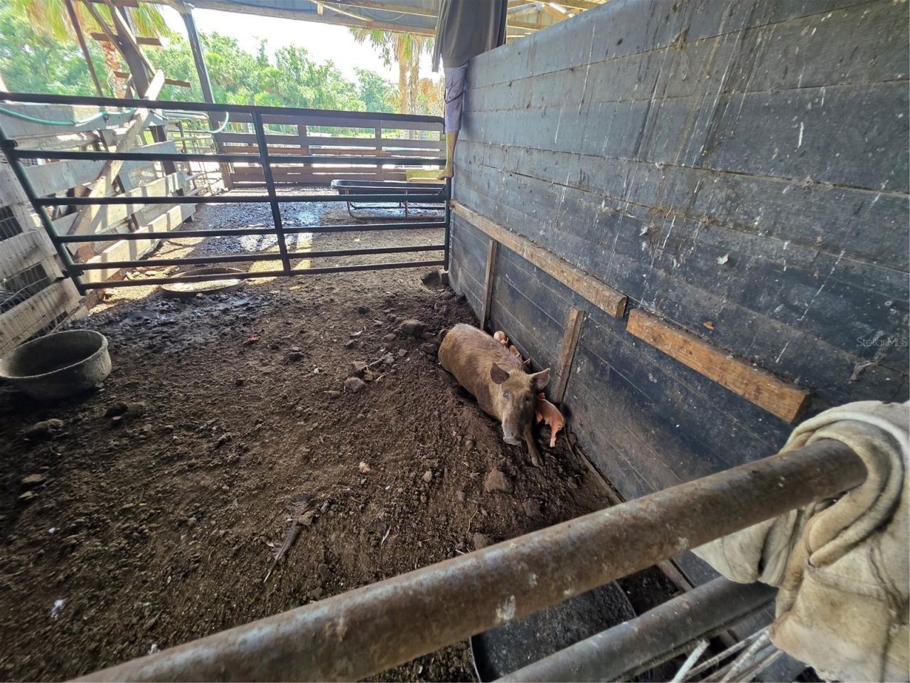 43451 & 43631 Farabee Road, Punta Gorda, FL 33982 Photo