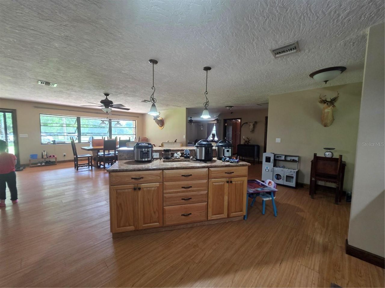 43451 & 43631 Farabee Road, Punta Gorda, FL 33982 Photo