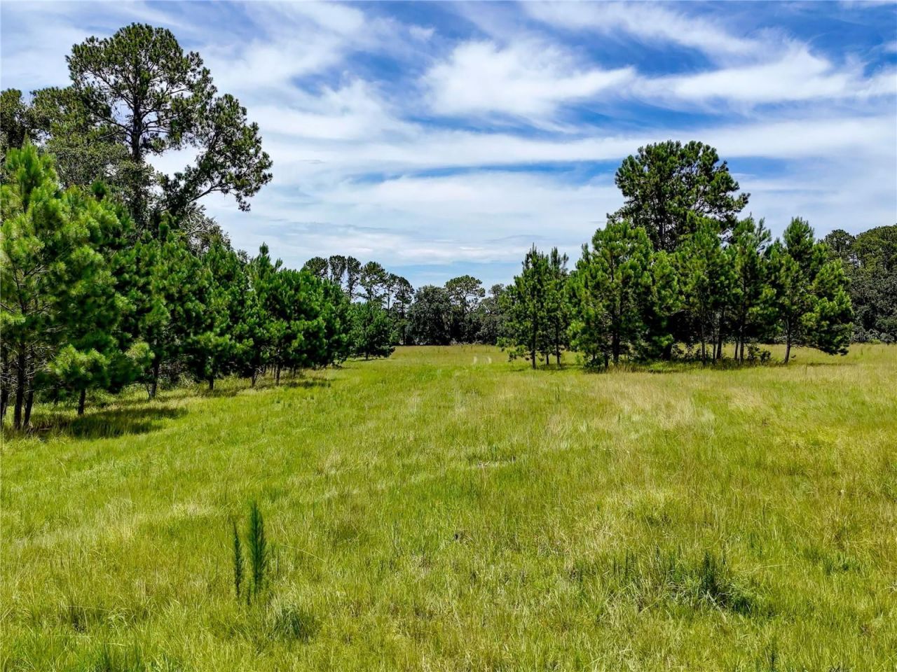 20089 Ayers Road, Brooksville, FL 34604 Photo