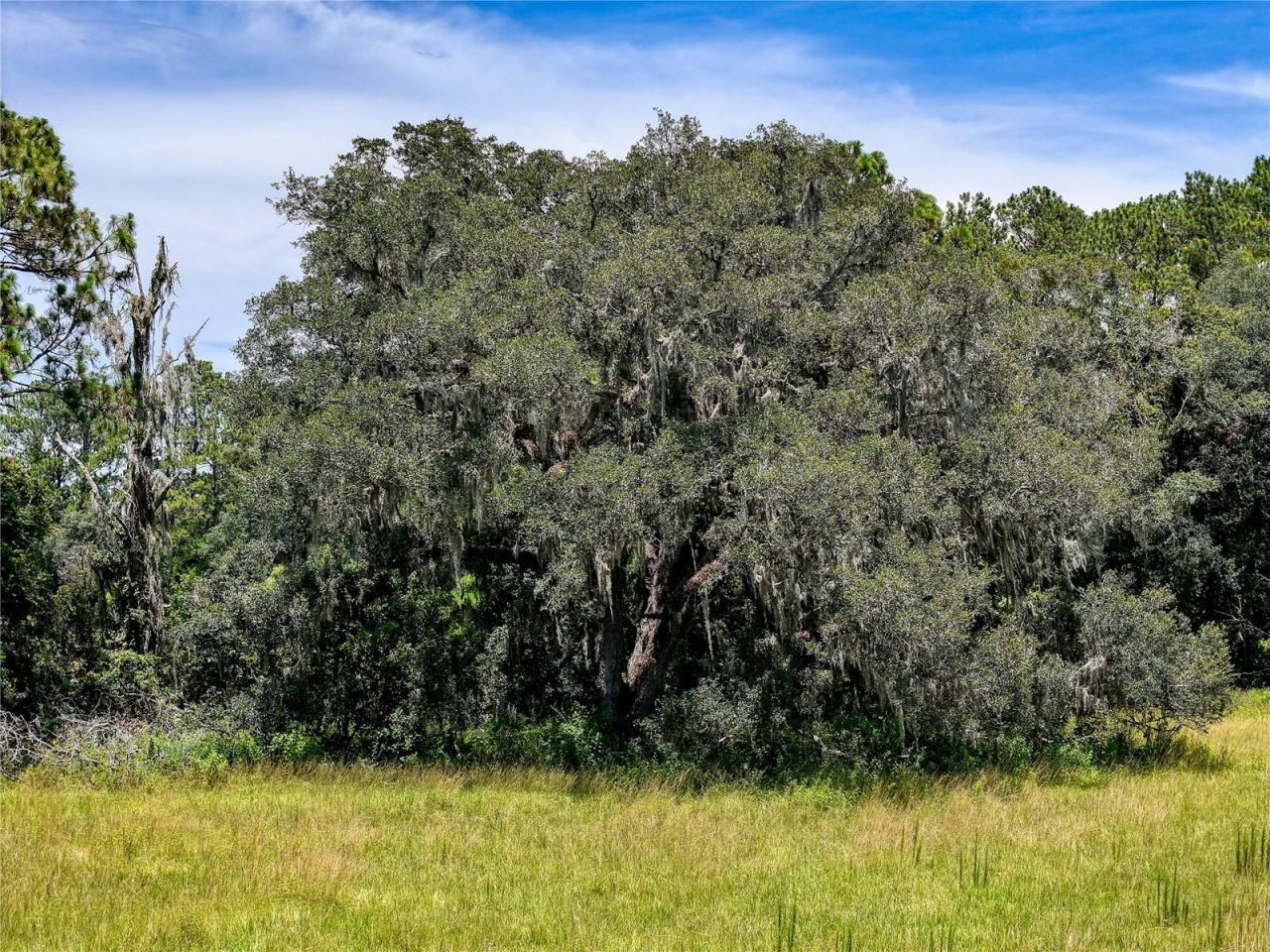 20089 Ayers Road, Brooksville, FL 34604 Photo