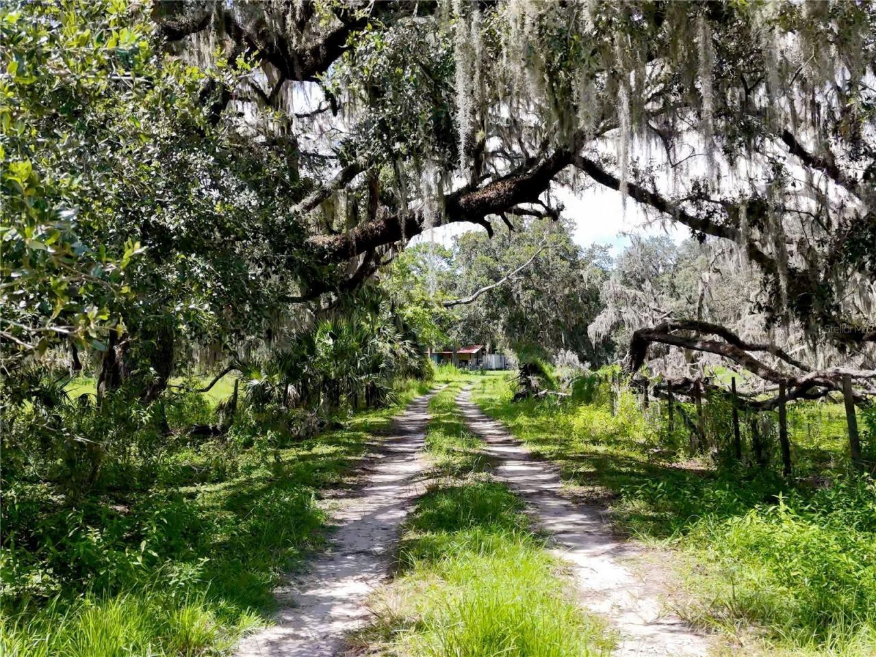 20089 Ayers Road, Brooksville, FL 34604 Photo