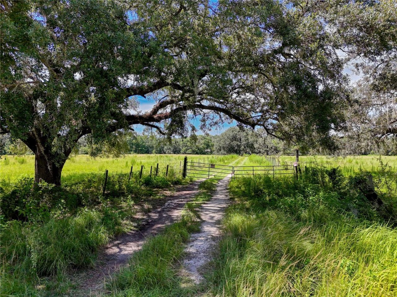 20089 Ayers Road, Brooksville, FL 34604 Photo