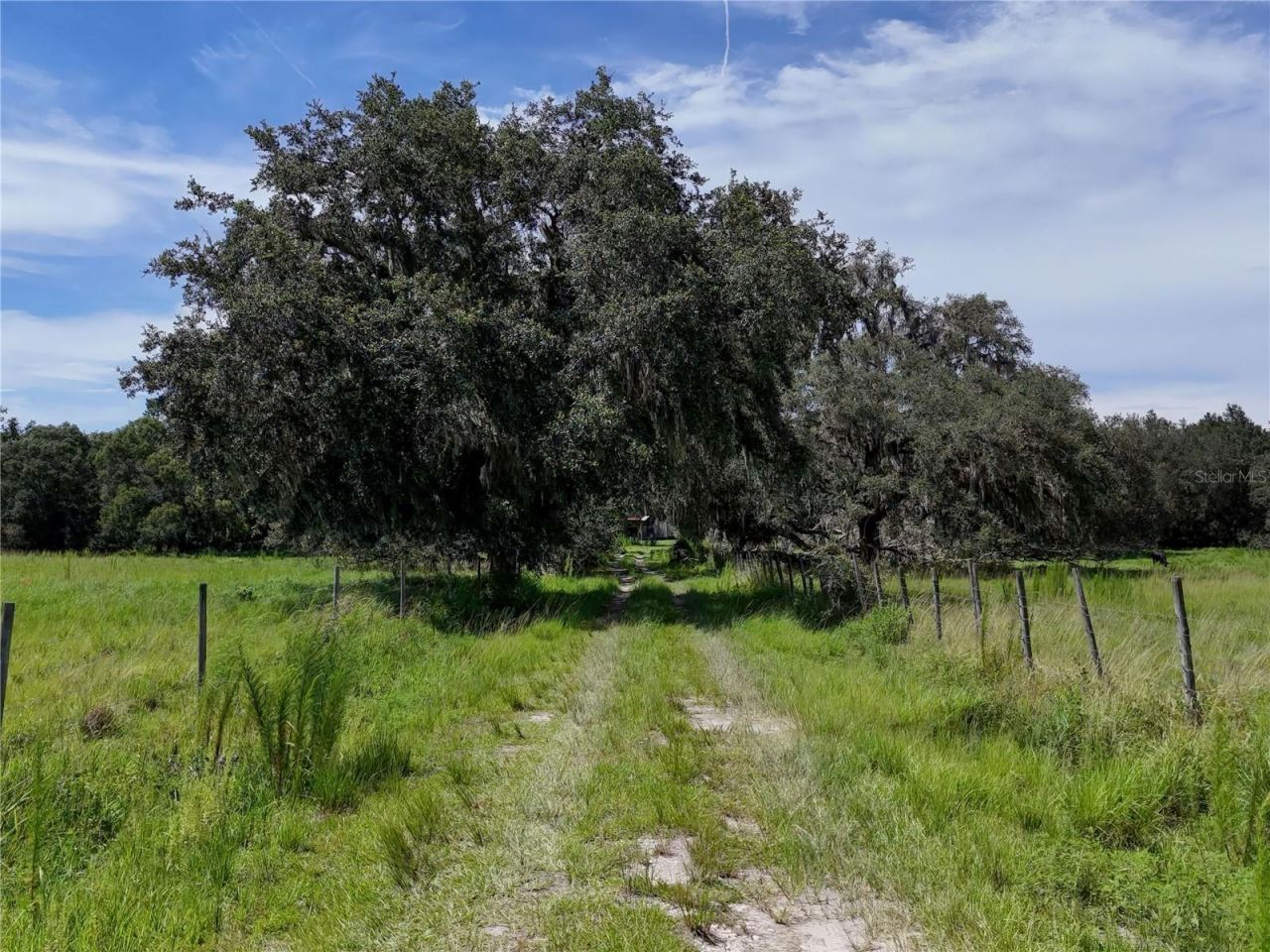 20089 Ayers Road, Brooksville, FL 34604 Photo