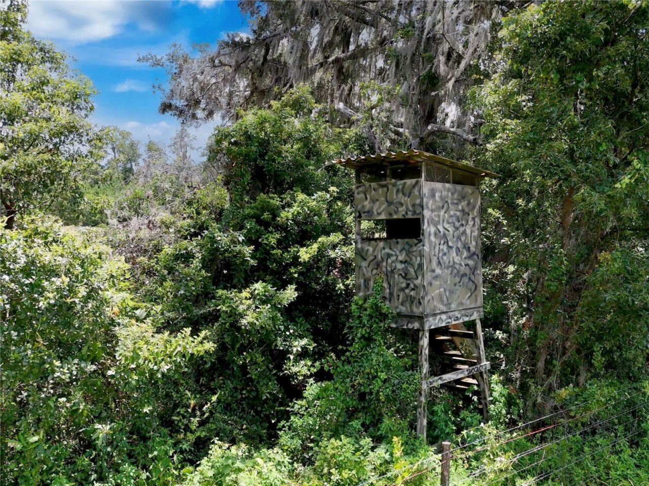 20089 Ayers Road, Brooksville, FL 34604 Photo