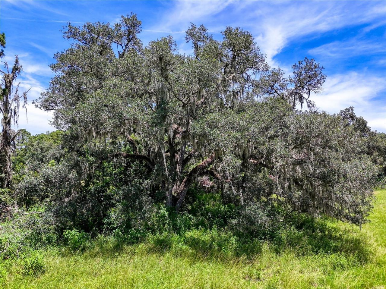 20089 Ayers Road, Brooksville, FL 34604 Photo