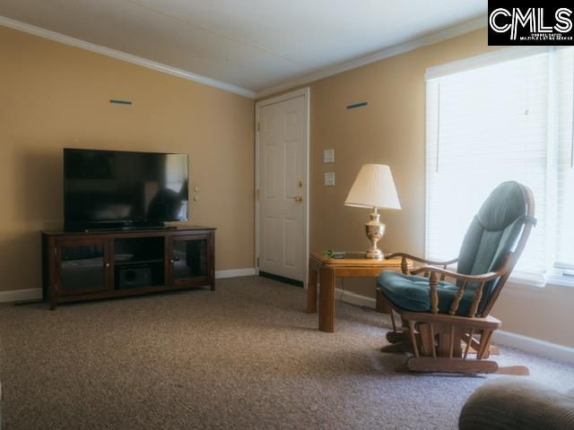 3541 Deer Run Road Photo 18