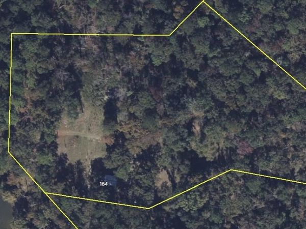 164 Griffith Drive, Fort Gaines, GA 39851