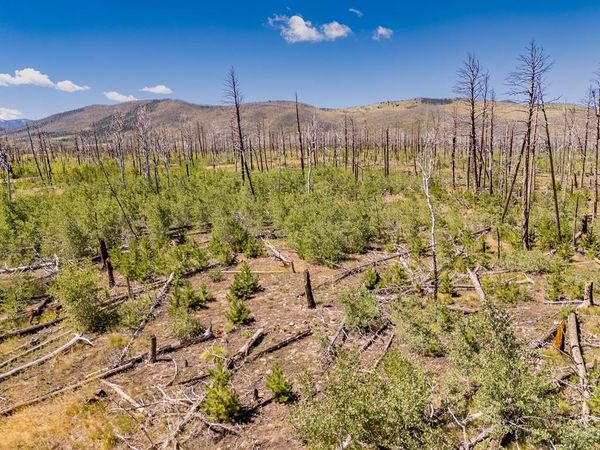 Lot 1596 Douglas Lane, Fort Garland, CO 81133