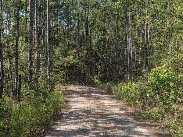 lot 12 W Nursery Road, Santa Rosa Beach, FL 32459
