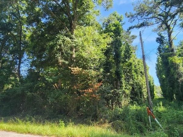 0 Smith Place, Stockton, AL 36579