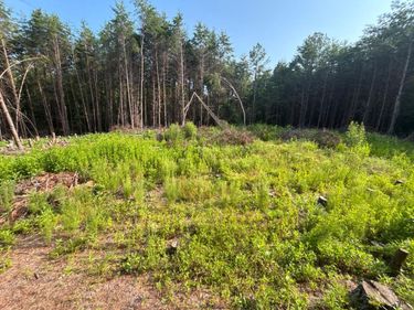 0 Felix Road, Nathalie, VA 24577