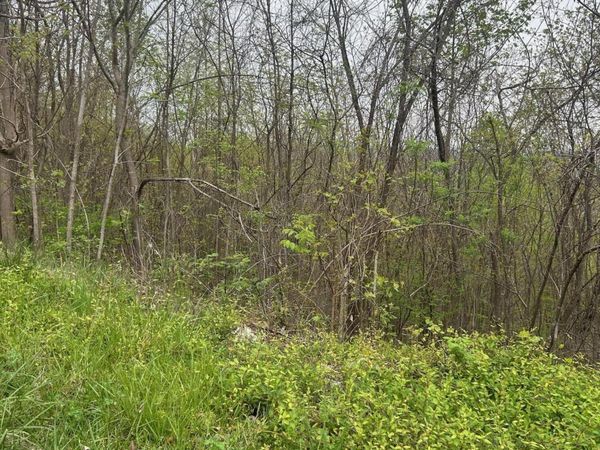 Lot 8 Hickory Pointe Lane, Maynardville, TN 37807
