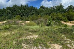 55 Edinburgh Castle Lane photo 4