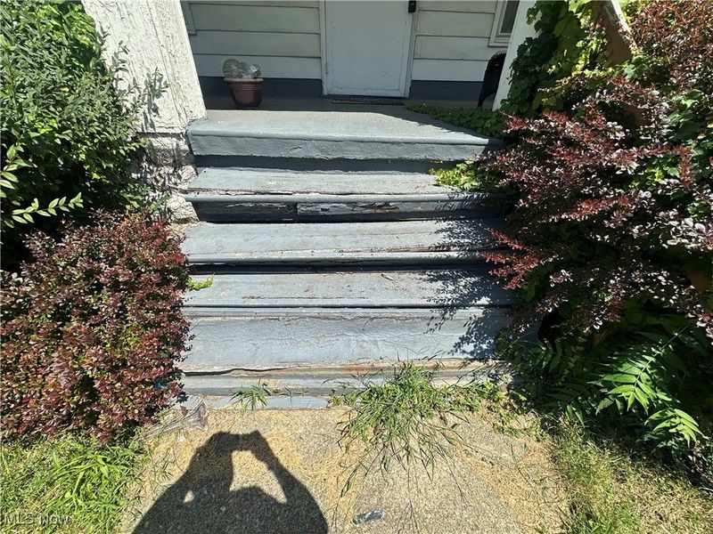 737 E 165th Street, Cleveland, OH 44110 Photo 29