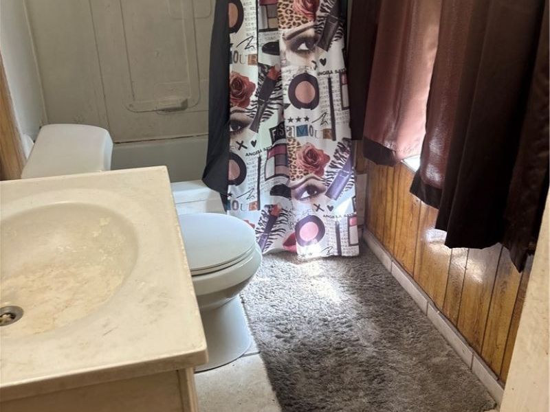 737 E 165th Street, Cleveland, OH 44110 Photo 4