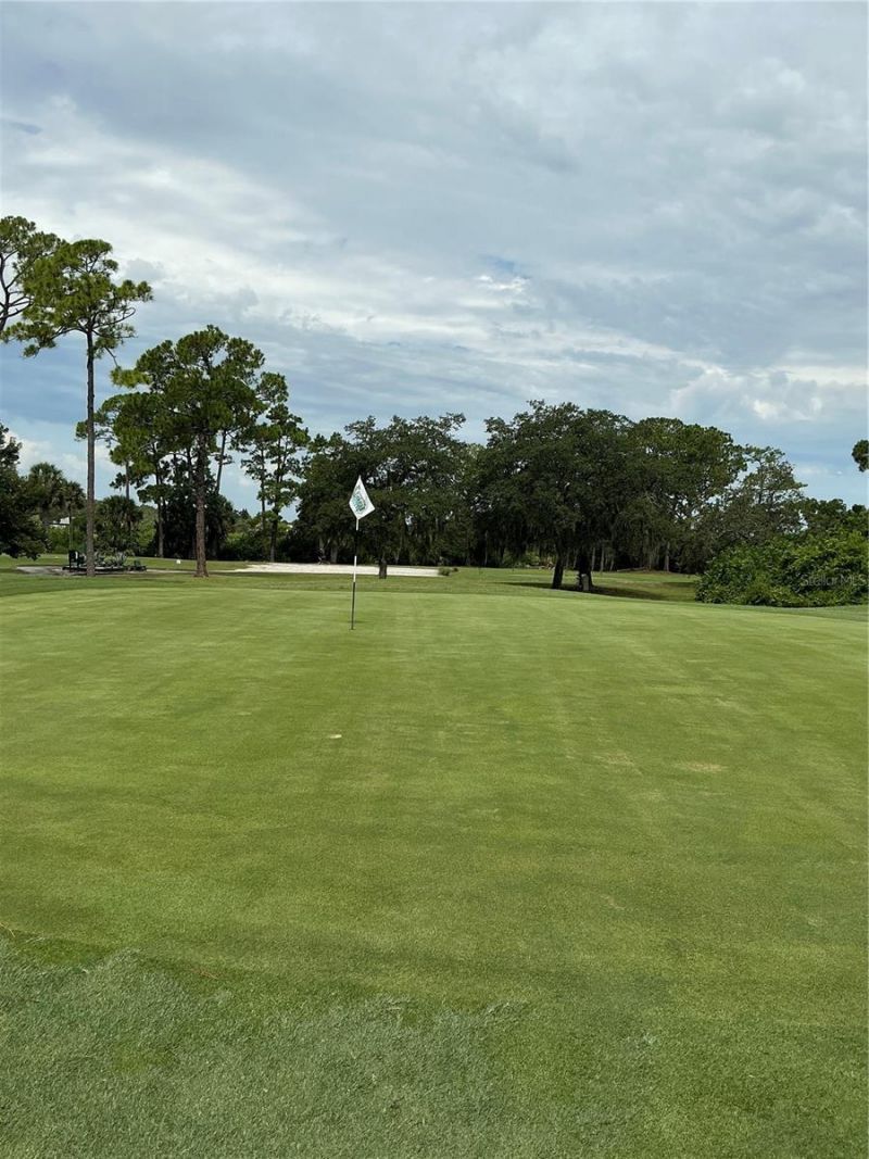 31 Lake Fairgreen Circle, New Smyrna Beach, FL 32168 Photo