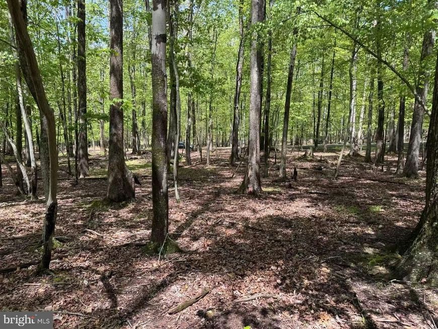 0 W Algonquin Drive, Hazleton, PA 18202 Main Photo