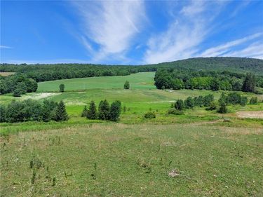834 Crescent Valley Road, Bovina Center, NY 13740