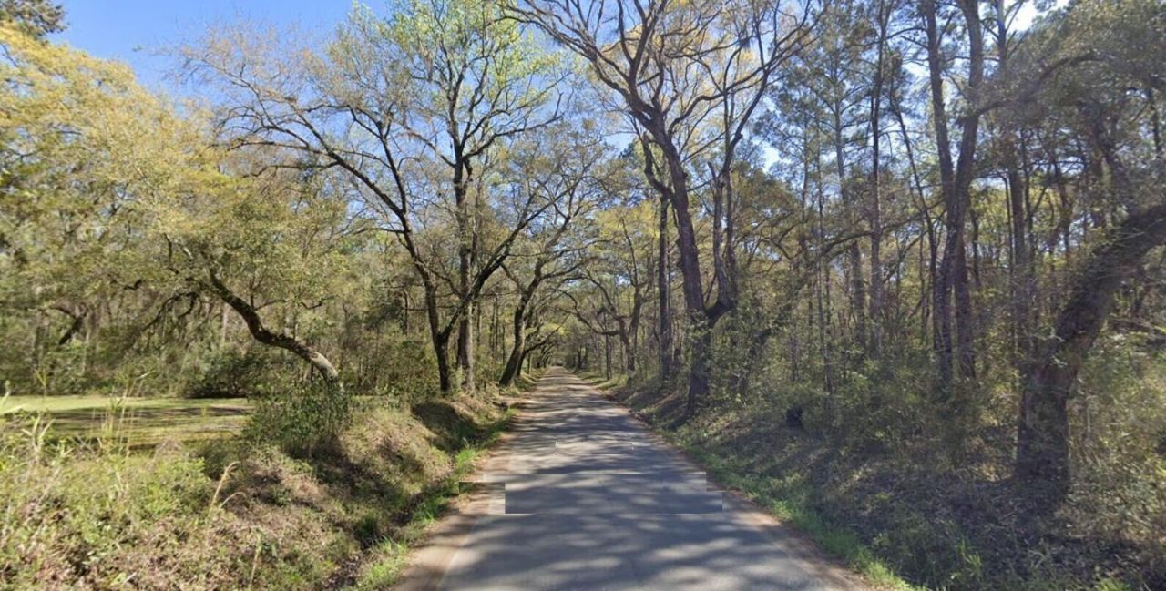 1068 Sarah Battle Lane Photo 6