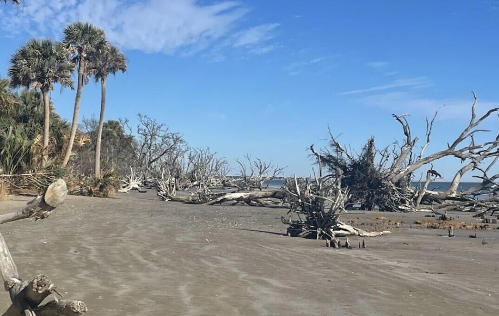 1068 Sarah Battle Lane Photo 8