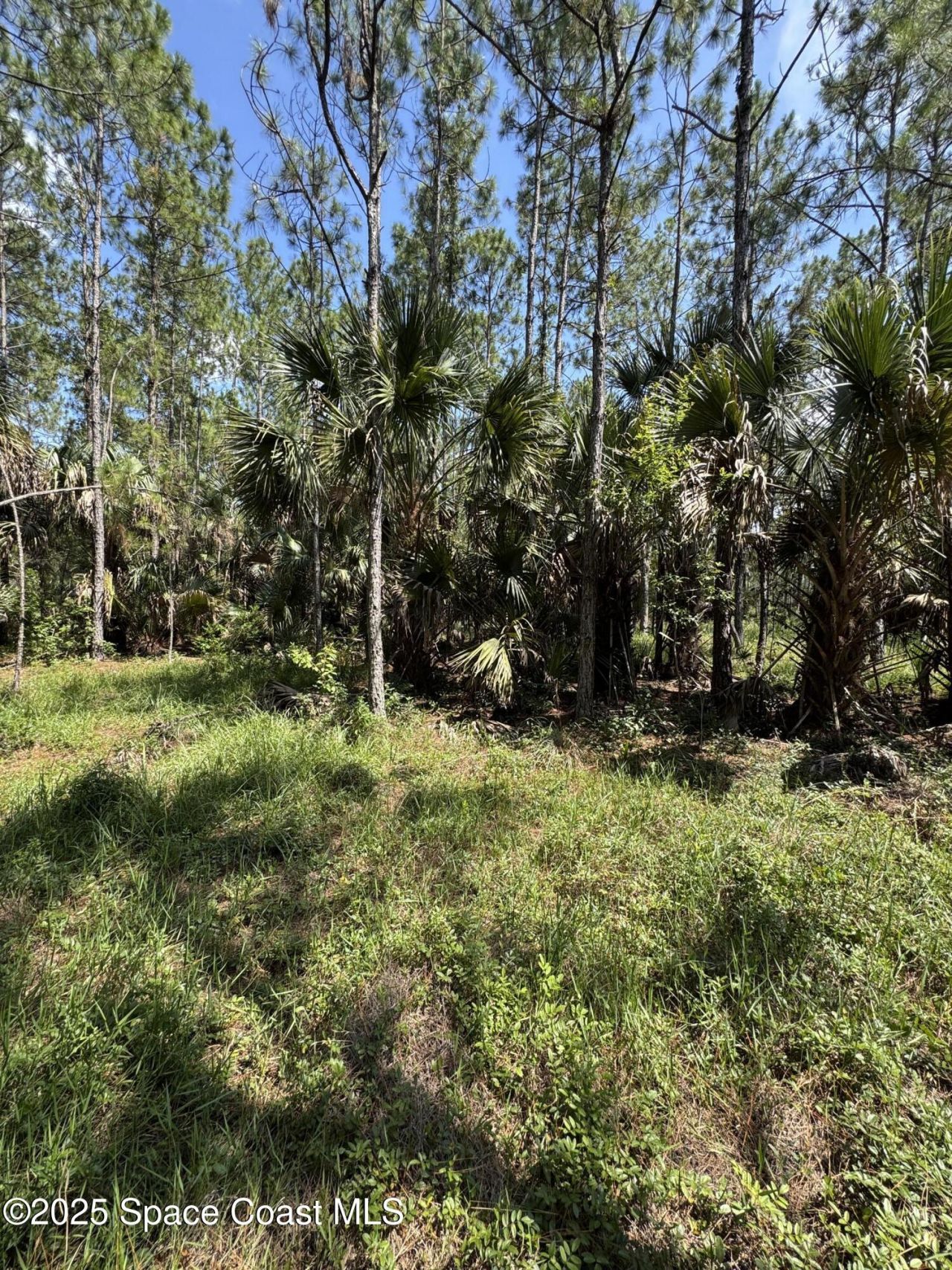 4300 Justa Road, Mims, FL 32754 Photo