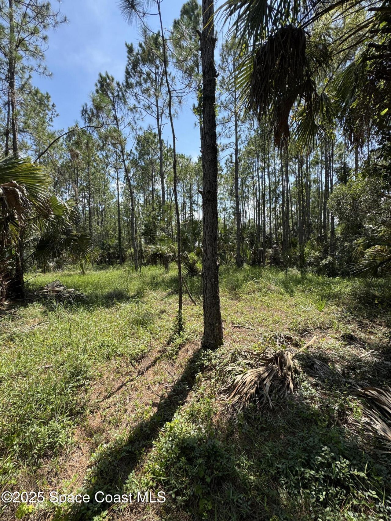 4300 Justa Road, Mims, FL 32754 Photo