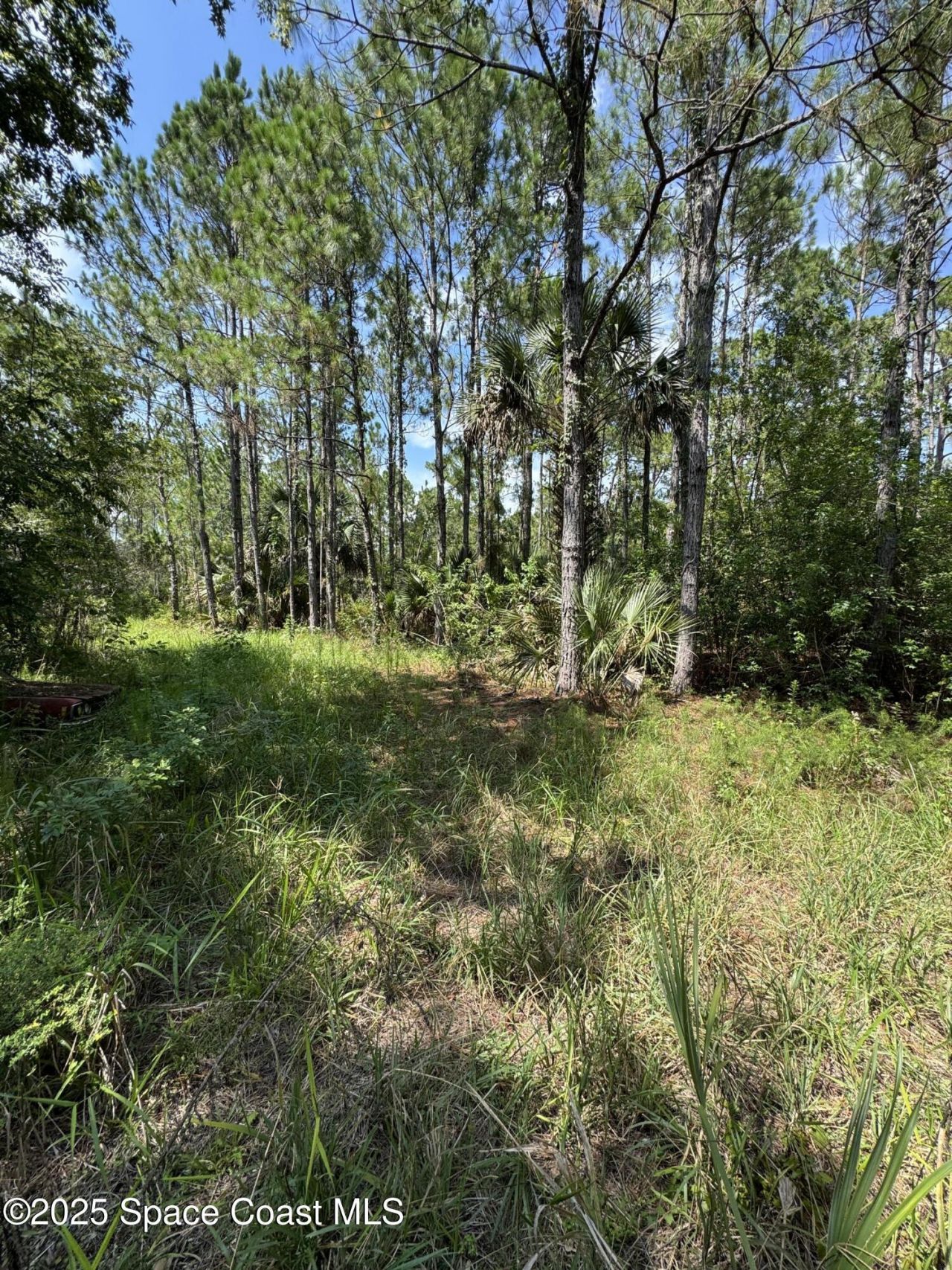 4300 Justa Road, Mims, FL 32754 Photo