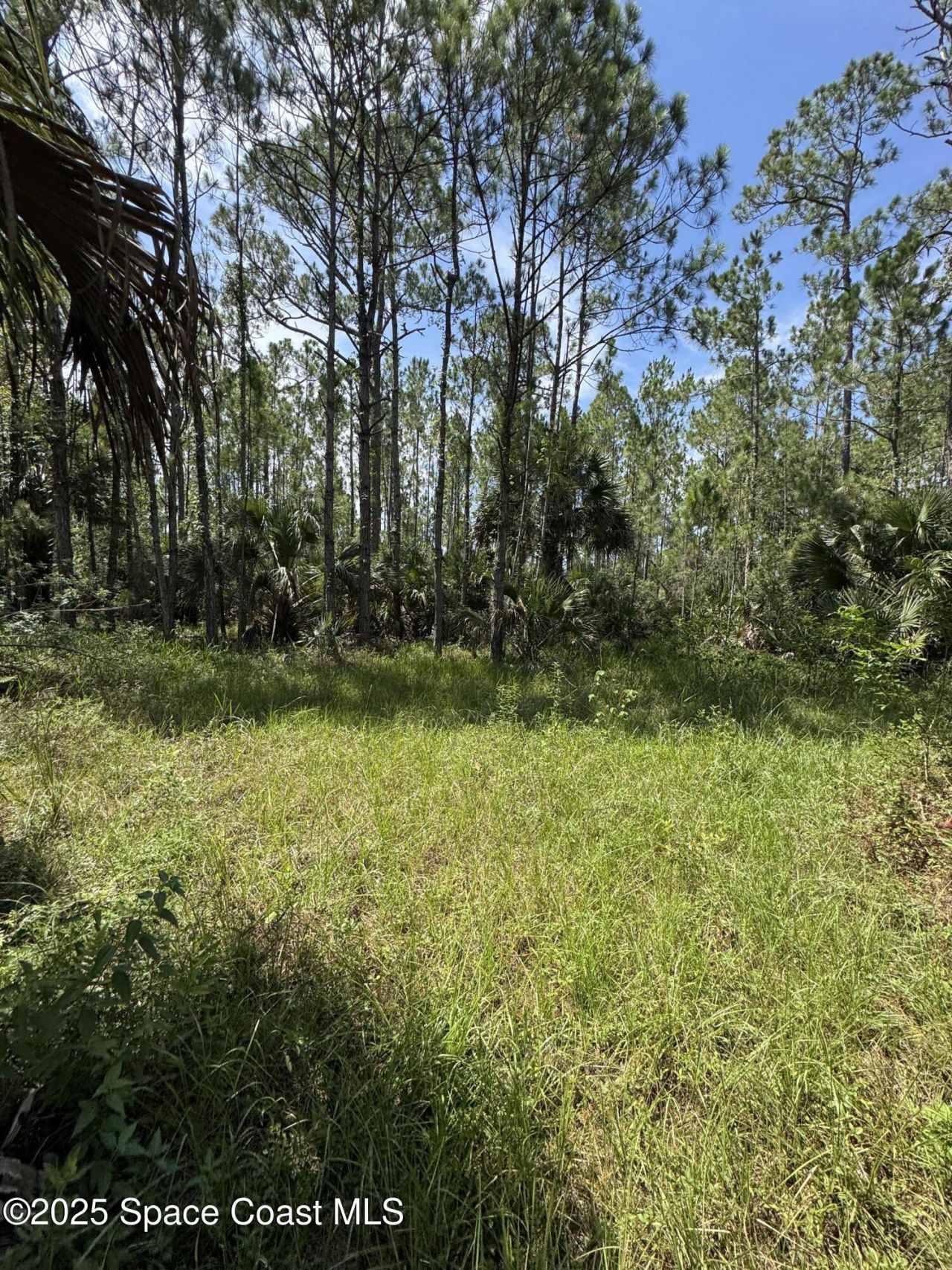 4300 Justa Road, Mims, FL 32754 Photo