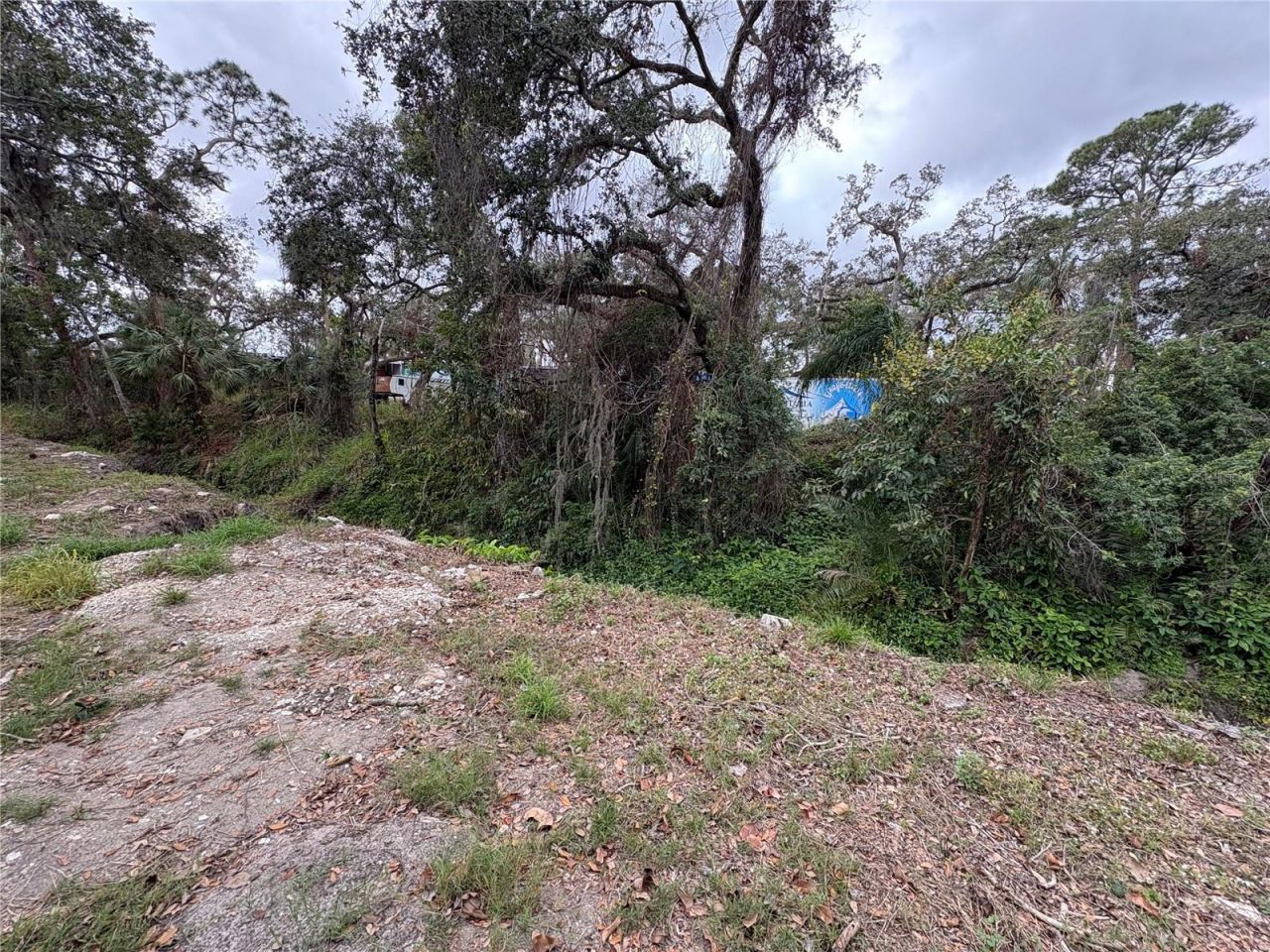 1622 51st Avenue E, Bradenton, FL 34203 Photo