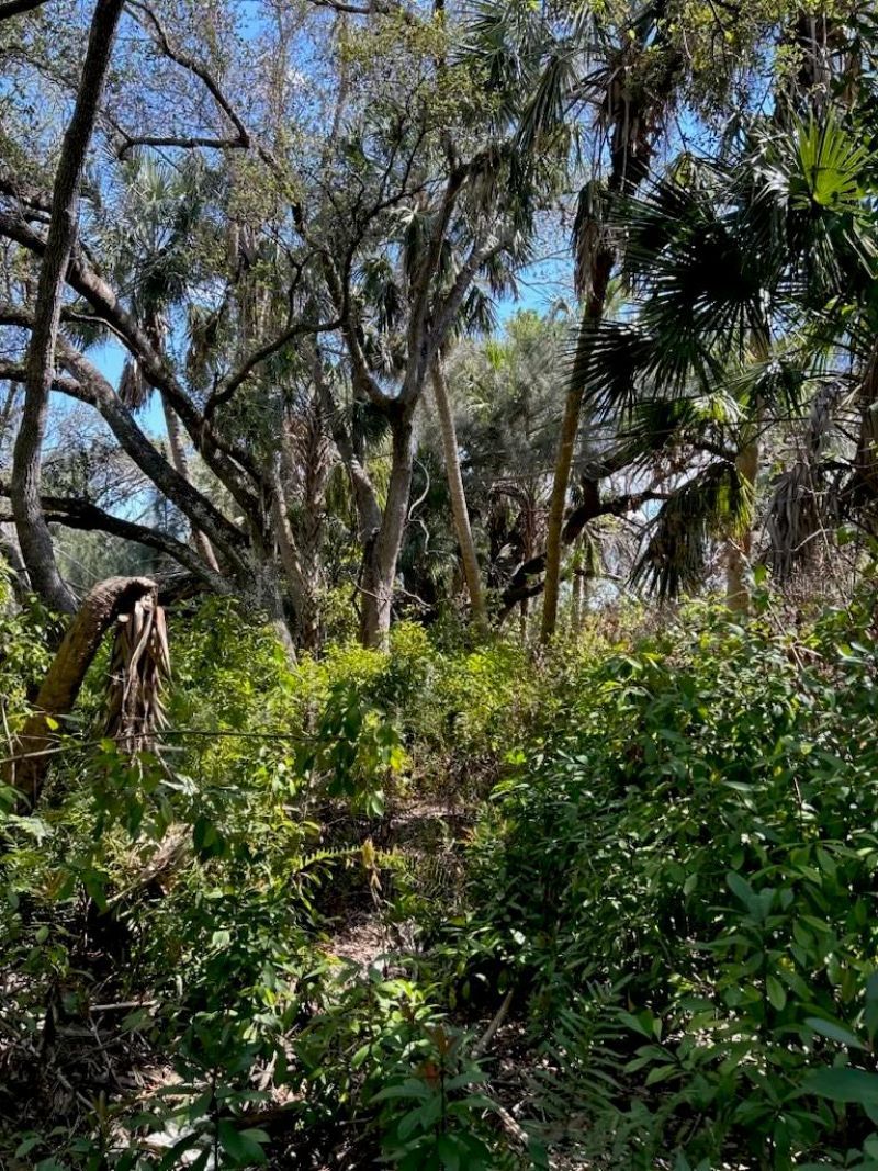 7022 Riverside Drive, Punta Gorda, FL 33982 Photo
